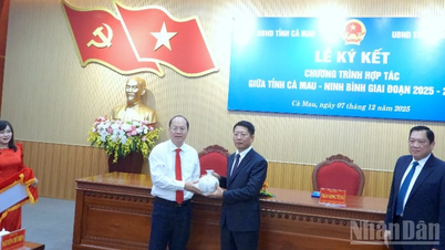 का माऊ-निन्ह बिन्ह व्यापक सहयोग 65 वर्षों की एकजुटता और मित्रता की पुष्टि करता है