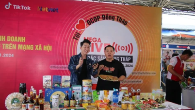 Dong Thap: Förderung und Konsum von OCOP-Produkten über E-Commerce-Kanäle