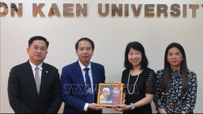 Renforcement de la coopération éducative Vietnam-Thaïlande