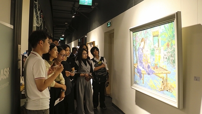 'নু থোই' থেকে নতুন প্রাণশক্তি: তরুণ শিল্প ভিয়েতনামী নারীদের গল্প বলে