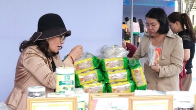 ເຊື່ອມ​ຕໍ່​ແລະ​ເຜີຍ​ແຜ່​ຜະ​ລິດ​ຕະ​ພັນ​ເລີ່ມ​ຕົ້ນ​ຂອງ​ແມ່​ຍິງ​ຢູ່​ດາ​ຫນັງ