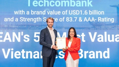 Techcombank: ویتنامی برانڈ سے علاقائی پوزیشن تک