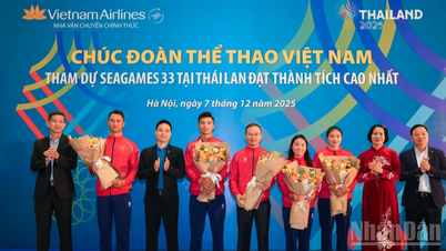 Vietnam Airlines accompagne la délégation sportive vietnamienne qui participe aux 33èmes Jeux d'Asie du Sud-Est et aux 13èmes Jeux paralympiques de l'ASEAN.