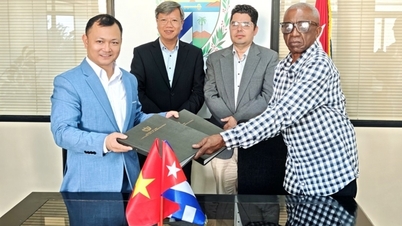 Une entreprise vietnamienne signe un contrat de coopération agricole d'une valeur de plus de 50 millions de dollars américains à Cuba.
