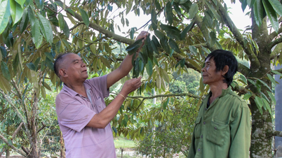 डोंग खान सोन कम्यून: प्रतिष्ठित लोगों की भूमिका को बढ़ावा देना