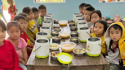 Desconfiando de falta de transparência, o proprietário do projeto Nuoi Em anunciou o congelamento das contas.