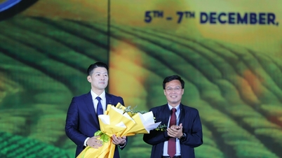 Avslutning av den internationella tefestivalen 2025 i Lam Dong