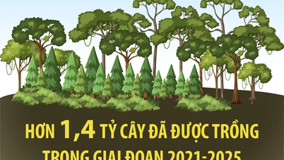 2021-2025 की अवधि में 1.4 बिलियन से अधिक पेड़ लगाए जाएंगे