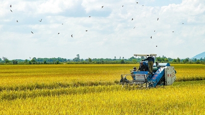 پیوند ساخت و سازهای جدید روستایی با کاهش پایدار فقر