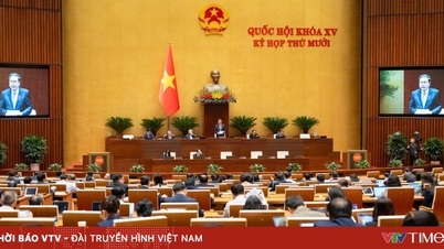 Национальное собрание Вьетнама и исторические решения