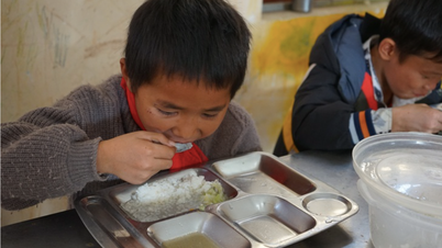 Fundadora da 'Nuoi Em' deixa de pagar pela alimentação de crianças após suspeitas de falta de transparência financeira.