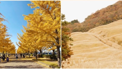 Hakone och Kazo: en resa för att läka höstens lövverksäsong i slutet av året