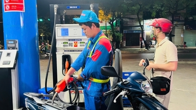 Precio de la gasolina hoy 8 de diciembre de 2025: Continúa en alza en la primera sesión de la semana