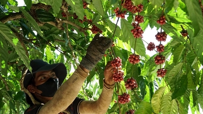 Omvandling av grödstruktur enligt marknadssignaler