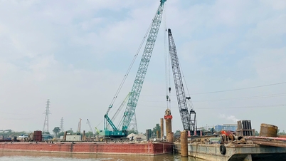 El rebote del puente "ala de cigüeña" sobre el río Thai Binh