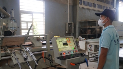 Da Nang: Eficácia da combinação de capital de promoção industrial e investimento empresarial