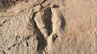 اكتشاف آثار أقدام ديناصورات يعود تاريخها إلى أكثر من 200 مليون سنة في الصين