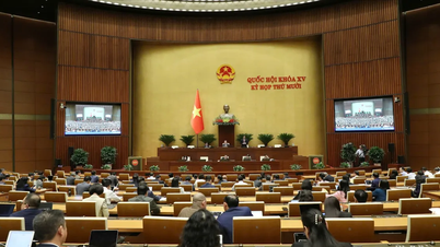 खुले संस्थान