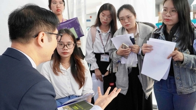 Holding a thick resume to apply for a job, a student receives an expensive lesson