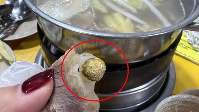 Bị khách tố miếng thịt có dòi, quán bò nhúng giấm ở Hà Nội tạm dừng hoạt động