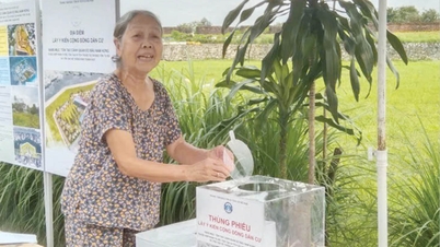 Hình thành công viên cảnh quan ở các eo bầu Kinh thành Huế