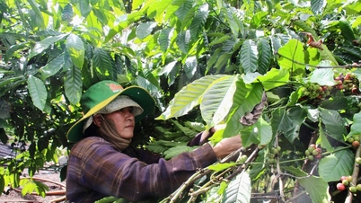 Superar dificultades para cambiar la vida