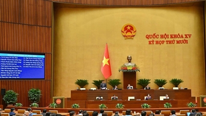 Le gouvernement accepte et révise de nombreux éléments importants du projet de loi sur l'assurance-dépôts (modifié).