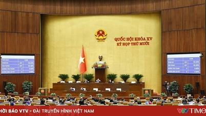 Perhimpunan Negara membincangkan beberapa siri mekanisme khas untuk Hanoi, Bandar Ho Chi Minh, Da Nang dan bajet 2025.