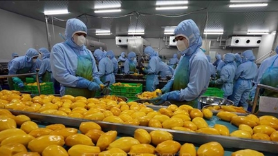 कच्चे माल वाले क्षेत्रों से जुड़े औद्योगिक प्रसंस्करण क्लस्टरों का विकास करना