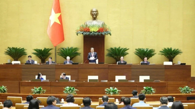 Ulusal Meclis hareket eder, yaratır ve giderek daha yakınlaşır