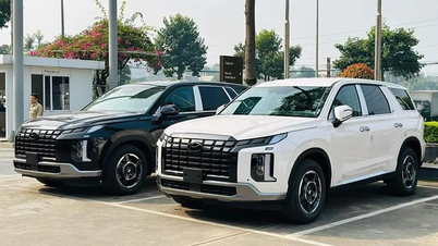 Satu siri kereta casis tinggi bernilai berbilion-bilion dong akan "dihapuskan" pada akhir tahun ini, Hyundai dan Ford mengurangkan harga sehingga 200 juta.