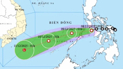 اشنکٹبندیی ڈپریشن مشرقی سمندر میں کم دباؤ والے علاقے میں کمزور ہو سکتا ہے۔