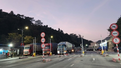 Få fart på smarte grenseporter