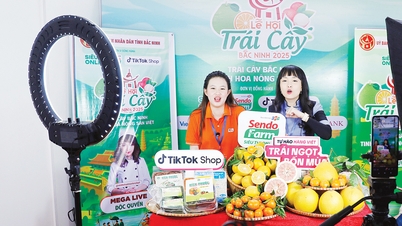 Bac Ninh Fruit Festival 2025: Connecting trade, promoting agricultural tourism development