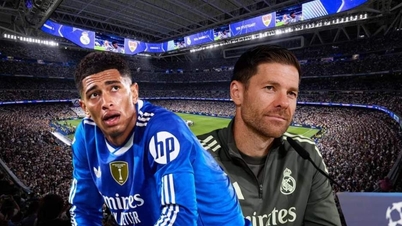 레알 마드리드 스타들, 샤비 알론소 대체자로 지단 복귀 요청