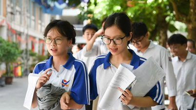 Many universities adjust and eliminate traditional combinations in 2026 enrollment