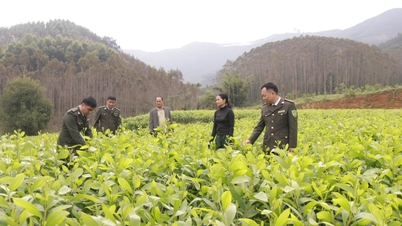 Phát triển sản xuất ở Tuấn Sơn