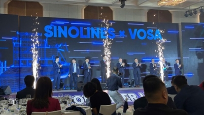 Lễ thành lập Công ty TNHH Sinotrans Container Lines Việt Nam