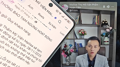 Mailisa, Hoang Huong, Ngan 98 et plusieurs autres « chefs » ont été arrêtés, mais les contrefaçons persistent sur internet.