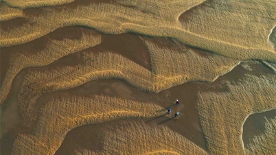 वियतनामी फोटोग्राफी सुंदर लगती है, लेकिन अभी भी एक पुरानी स्थिति में है