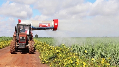 ໄຕນິງ: ເປັນຈຸດທີ່ສົດໃສໃນການຮ່ວມມືສາກົນ, ເຊື່ອມຕໍ່ຕ່ອງໂສ້ມູນຄ່າທົ່ວໂລກໃຫ້ແກ່ຜະລິດຕະພັນກະເສດ