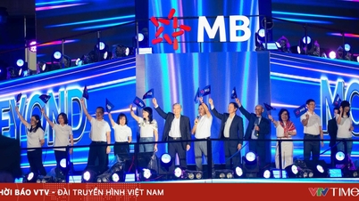 MB – 31 Jahre Fortschritt und Weiterentwicklung