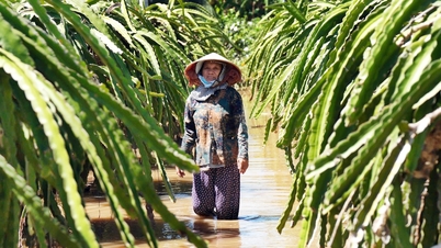 जलाशय के बाढ़ से लोगों को भारी नुकसान हुआ है, कंपनी के पास क्षतिपूर्ति के लिए पैसा नहीं है।