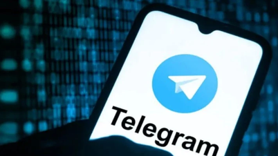 Поліція попереджає про шахрайство з заощадженнями під високі відсотки в Telegram