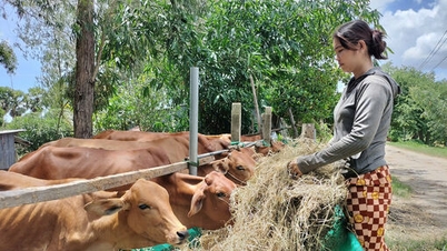 Stabil försörjning, självförtroende att ta sig ur fattigdom