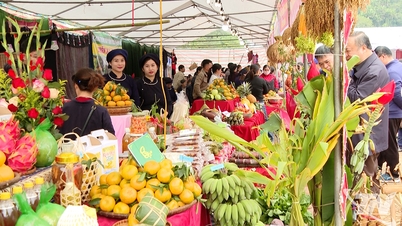 Bach Thong Orange and Tangerine Festival: Promoting agricultural products, attracting tourists