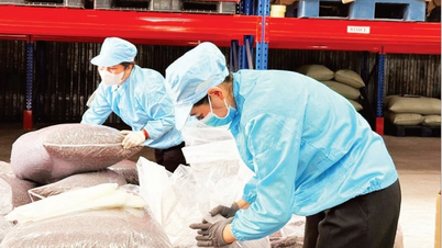 Создание устойчивой добавленной стоимости для сельскохозяйственной продукции