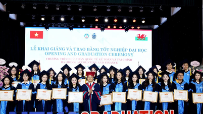 Banyak “keistimewaan” baru bagi mahasiswa program Sarjana Internasional BIFA NEU