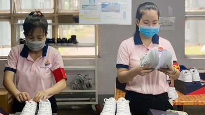 বাজার সম্প্রসারণ কৌশলের মাধ্যমে রপ্তানি ভিত্তি শক্তিশালীকরণ