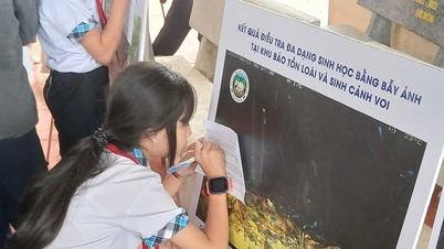 Älska naturen från små lärdomar